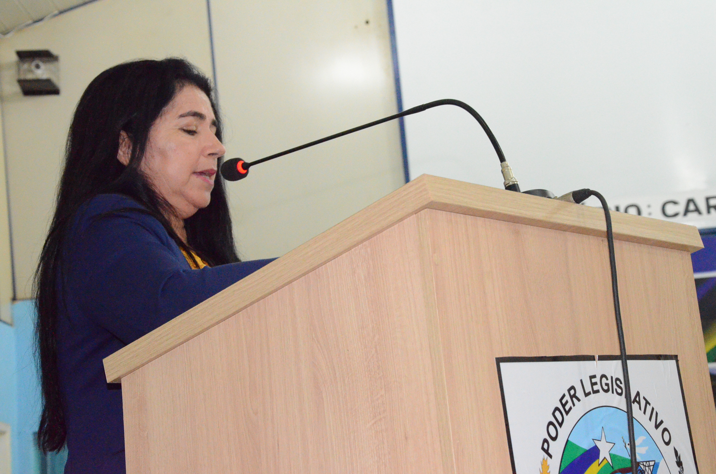 Vereadora Zilmar apresenta projetos de lei em benefício da cidade